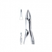 Extracting Forceps American Pattern